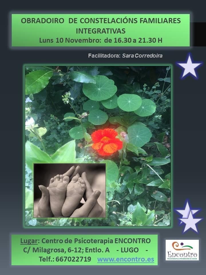 OBRADOIRO CONSTELACIÓNS FAMILIARES 10 DE NOVEMBRO EN Encontro, LUGO