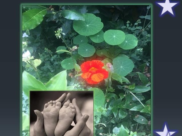 OBRADOIRO CONSTELACIÓNS FAMILIARES 10 DE NOVEMBRO EN Encontro, LUGO